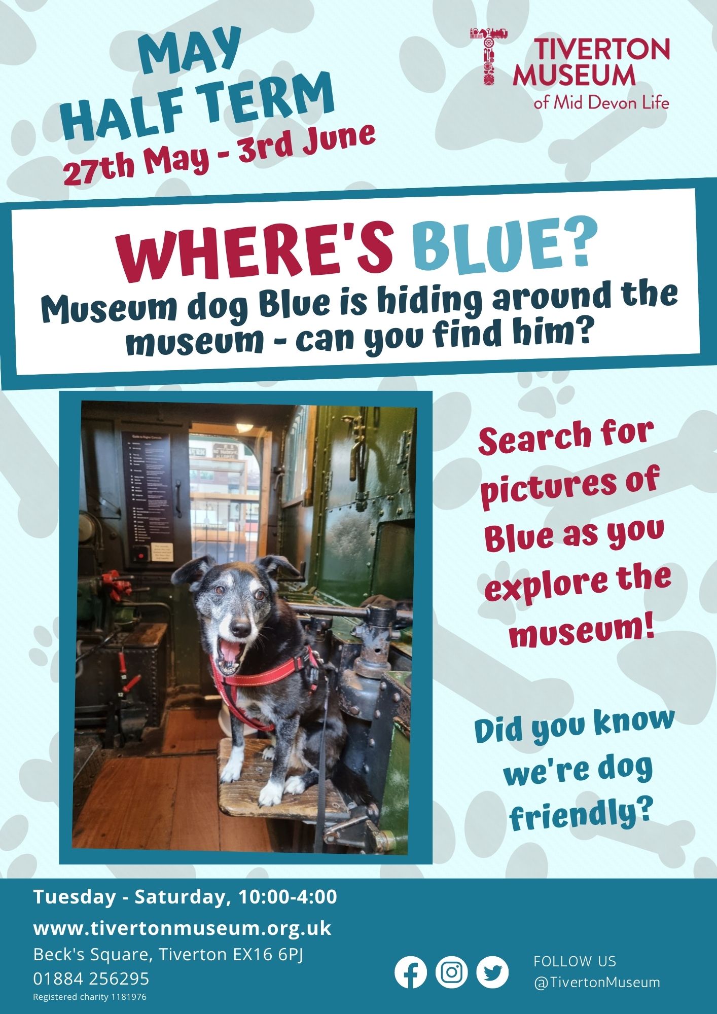 Where's Blue?