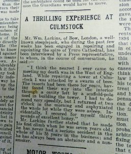 A newspaper cutting about a steeplejack, Mr Larkins, who had a close shave while repairing the tower at Culmstock church. The article includes a quote from Mr Larkin which reads 'I was attacked by a swarm of bees... I had to descend very speedily'